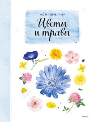 Мой гербарий Цветы и травы переупак