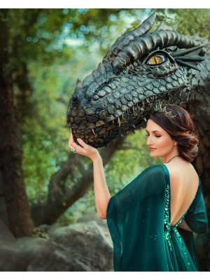 Алмазная мозаика 30х40 см c подр с полн заполн 27 цв Принцесса драконов НД-8572