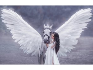 Холст с красками 30х40 см Девушка и белоснежный единорог по номерам Х-4121