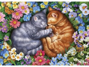 Холст с красками 30х40 см по номерам СПЯЩИЕ КОТЯТА В ЦВЕТАХ 20 цв в коробке ХК-4964