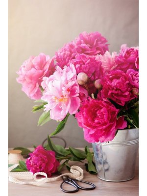 Холст с красками 30х40 см по номерам Свежесобранные розовые пионы 19 цв ХК-6319