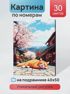 Холст с красками 40x50 см по номерам Котик на солнышке 30 цв в кор ХК 3898