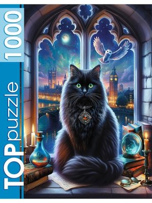 Паззл 1000 МАГИЧЕСКИЙ КОТ Ф1000-2743
