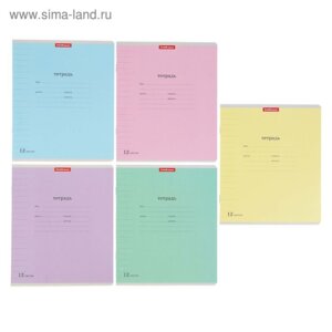 Тетрадь  12л Линия Классика с линовкой 35206