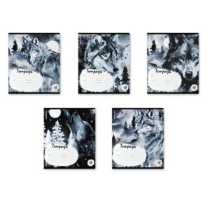 Тетрадь 18л Линия Timber Wolf MIX-PA 018010154-60563