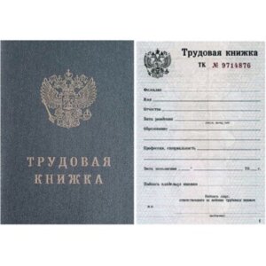 Трудовая книжка 067575/349212