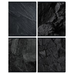 Тетрадь  48л А5 Клетка Rocky N5c48-51256