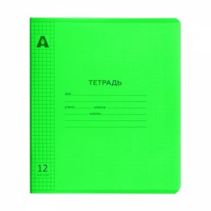 Тетрадь  12л Клетка Пластик Neon Зеленый AL12426