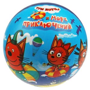 Мяч Три Кота полноцвет 23 см в сетке FD-9(3CATS)