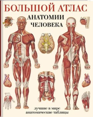 Бол атлас анатомии человека Мягк