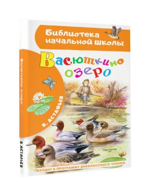 Васюткино озеро БНШ