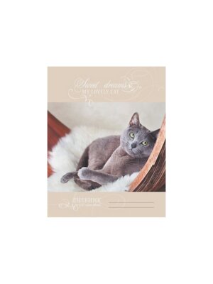 Дневник 5-11 Нежные мечты Серый кот  ДИС144807