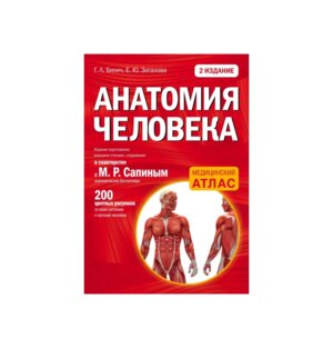 Анатомия человека Изд 2 Мягк