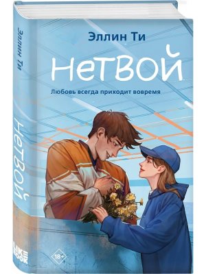 Нетвой Кн 2