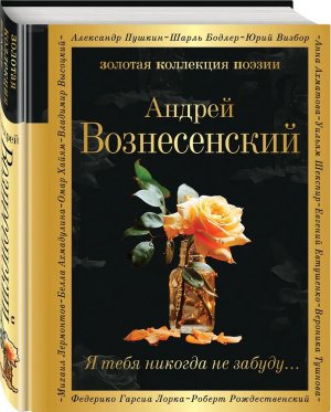 Я тебя никогда не забуду ЗКП