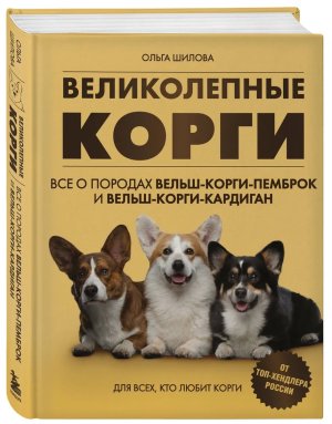 Великолепные корги Все о породах вельш корги пемброк и вельш корги кардиган