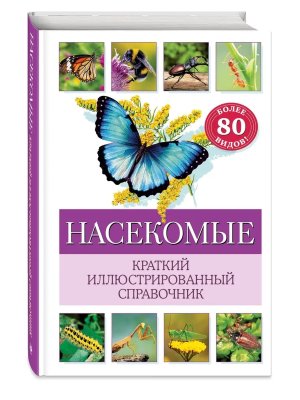 Насекомые Краткий илл справочник