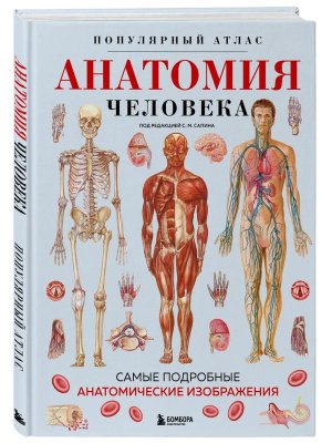 Анатомия человека Популярный атлас Самые подробные анатомические изображения