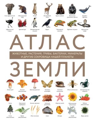 Атлас Земли Животные растения грибы бактерии минералы и др сокровища нашей планеты