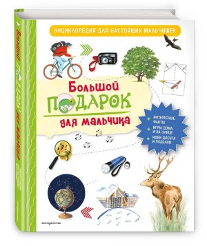 Большой подарок для мальчика Энц для настоящих мальчишек