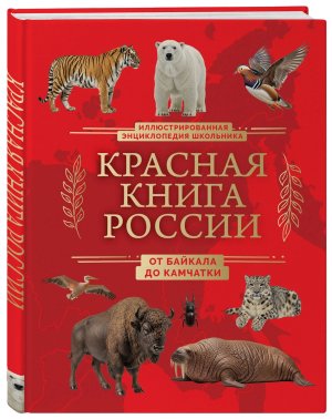 Красная книга России От Байкала до Камчатки Илл энц школ 