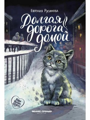 Долгая дорога домой