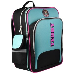 Рюкзак школьный 2 отд 29х38х14см Мишка Тедди полиэстер 59281