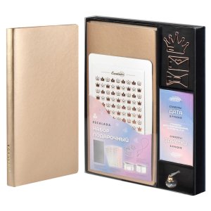 Набор подарочный записная книжка  96л А6+ стикеры скрепки и резинка фиксатор ESCALADA 57716