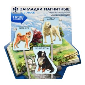 Набор закладок-ляссе магнитных для книг 62927