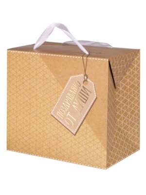 Пакет коробка Не переставай мечтать 79680