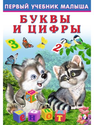 Учебник Ф Буквы и цифры ПУМ Мягк