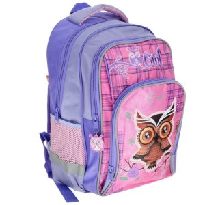 Рюкзак школьный Hatber SOFT-Owl NRk_60716
