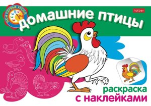 Р Мои первые уроки Домашние птицы с накл