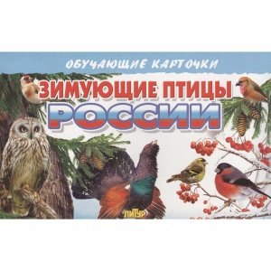 Карточки Зимующие птицы России