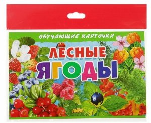 Карточки Лесные ягоды