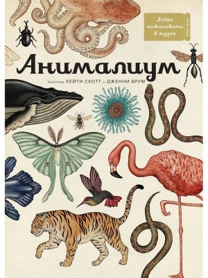 Анималиум Илл энц