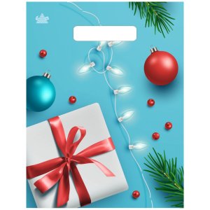 Полиэтиленовый пакет Подарок и шарики н00205493