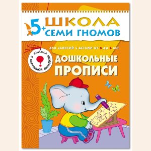 ШСГ Дошкольные прописи 5-6 лет