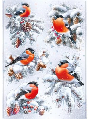 Оформительская наклейка Снегири и шишки 079.501