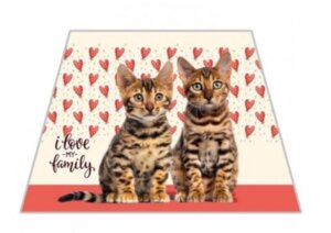 Фартук с нарукавниками 1 карм Два Кота ФН-6639