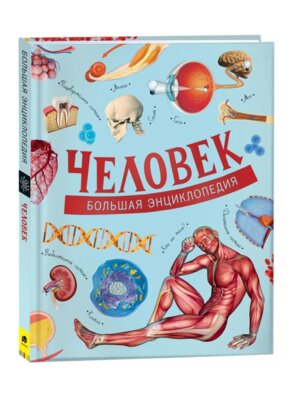 Человек Бол Энц