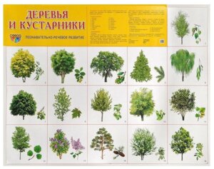Плакат Деревья и кустарники