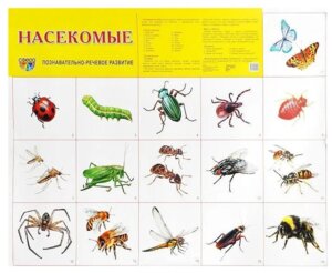 Плакат Насекомые