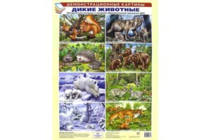 Демонстр картины Дикие животные