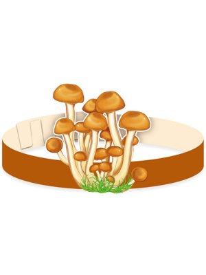 Ободок Опята МА-12073