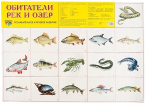 Плакат Обитатели рек и озер