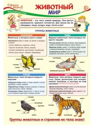 Плакат Животный мир