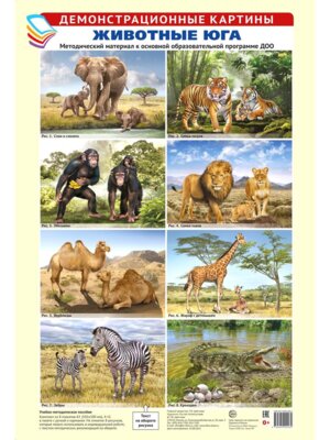 Демонстр картины Животные юга 