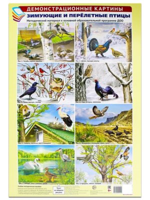 Демонстр картины Зимующие и перелетные птицы 
