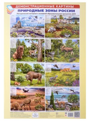 Демонстр картины  Природные зоны России
